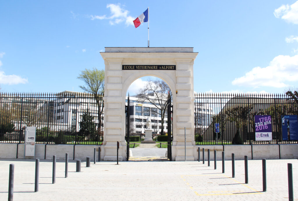 En savoir plus sur l’ENVA