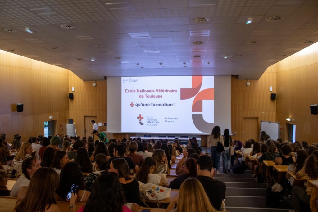 En savoir plus sur la formation initiale à l'ENVT
